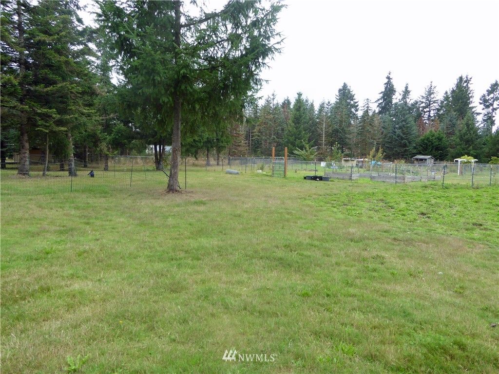 9024 176th Avenue Southwest Rochester, WA 98579 - Photo 24 of 25 a backyard of a house with trees