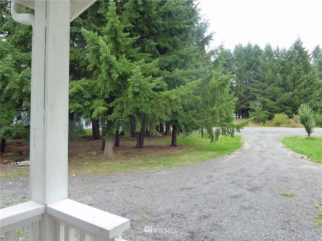 9024 176th Avenue Southwest Rochester, WA 98579 - Photo 25 of 25 a view of a trees in a yard