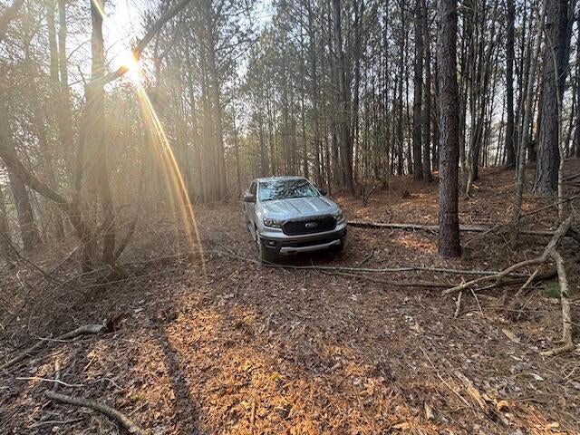 Stella Lockard Road Cordova, AL 35550 - Photo 3 of 18 IMG_9780