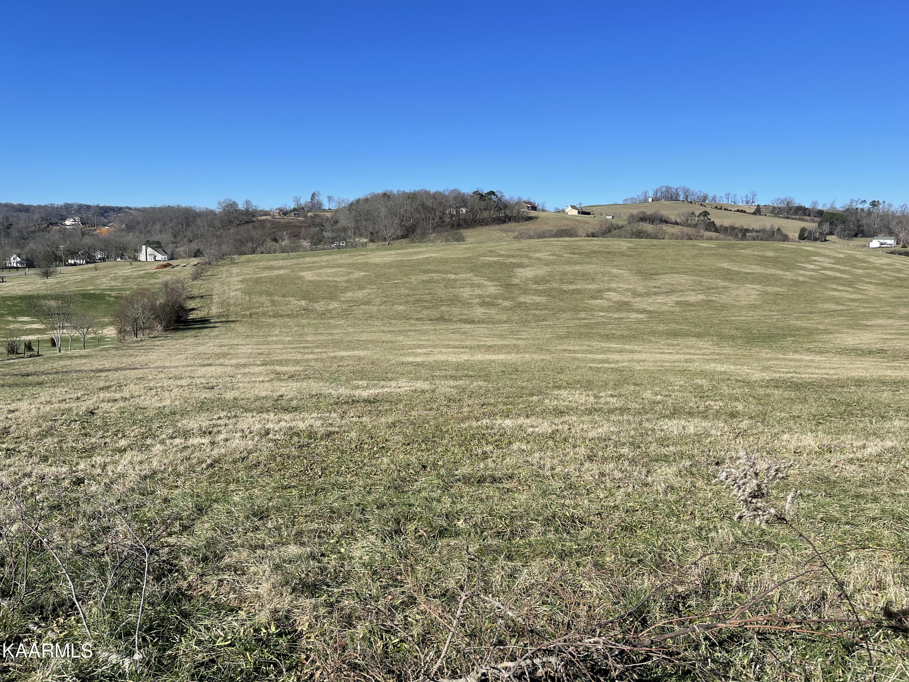 Lot 319 Howell River Road Rutledge, TN 37861 - Photo 1 of 1 IMG_4475