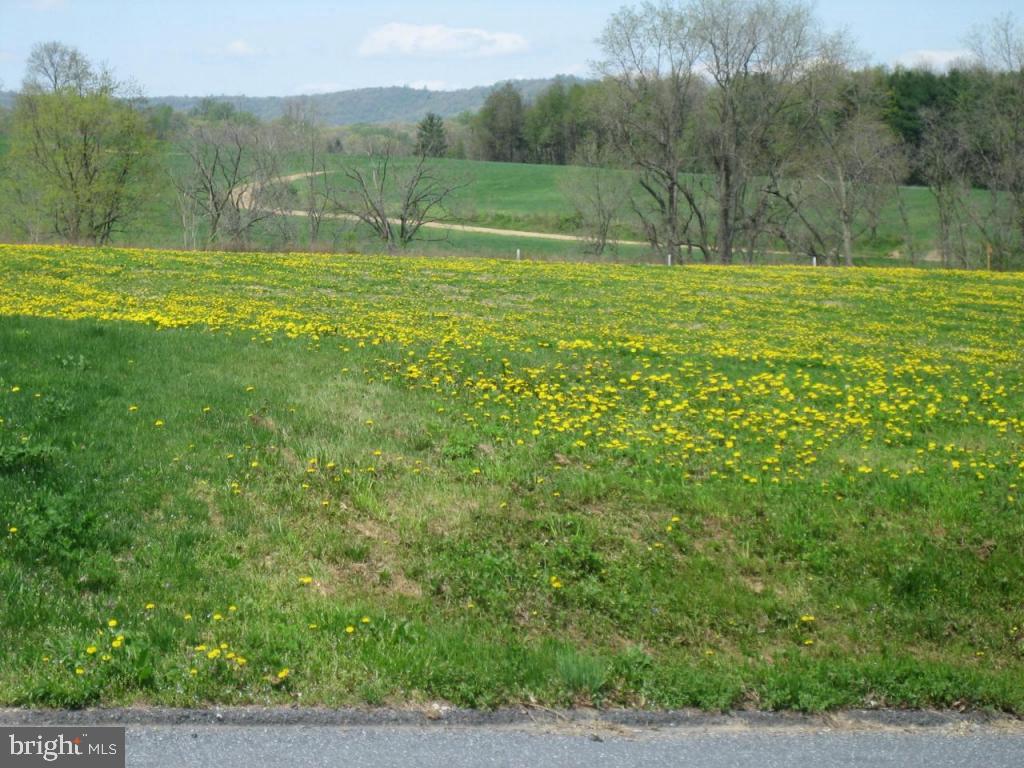 0 Webster Hill Road, Unit 3 Lititz, PA 17543 - Photo 3 of 8