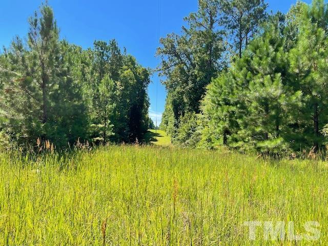 0 McDuffie Road Bullock, NC 27507 - Photo 8 of 12 Gallery Image 8