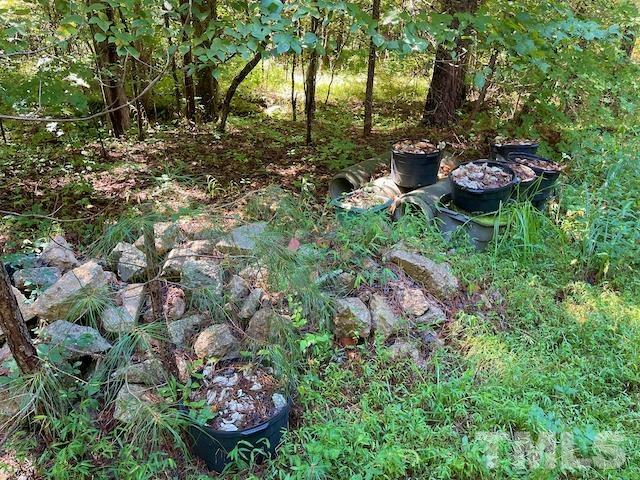 0 McDuffie Road Bullock, NC 27507 - Photo 9 of 12 Gallery Image 9