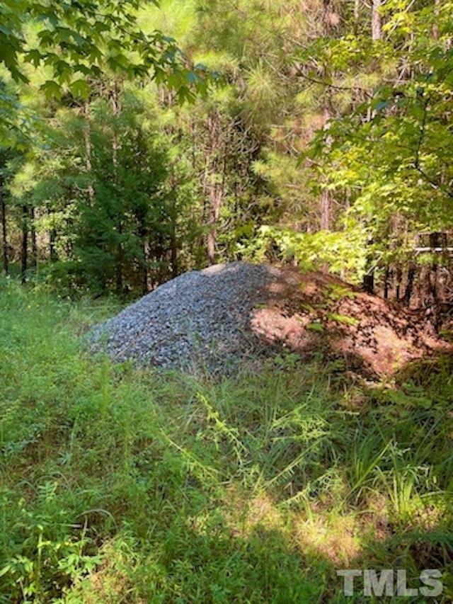 0 McDuffie Road Bullock, NC 27507 - Photo 10 of 12 Gallery Image 10