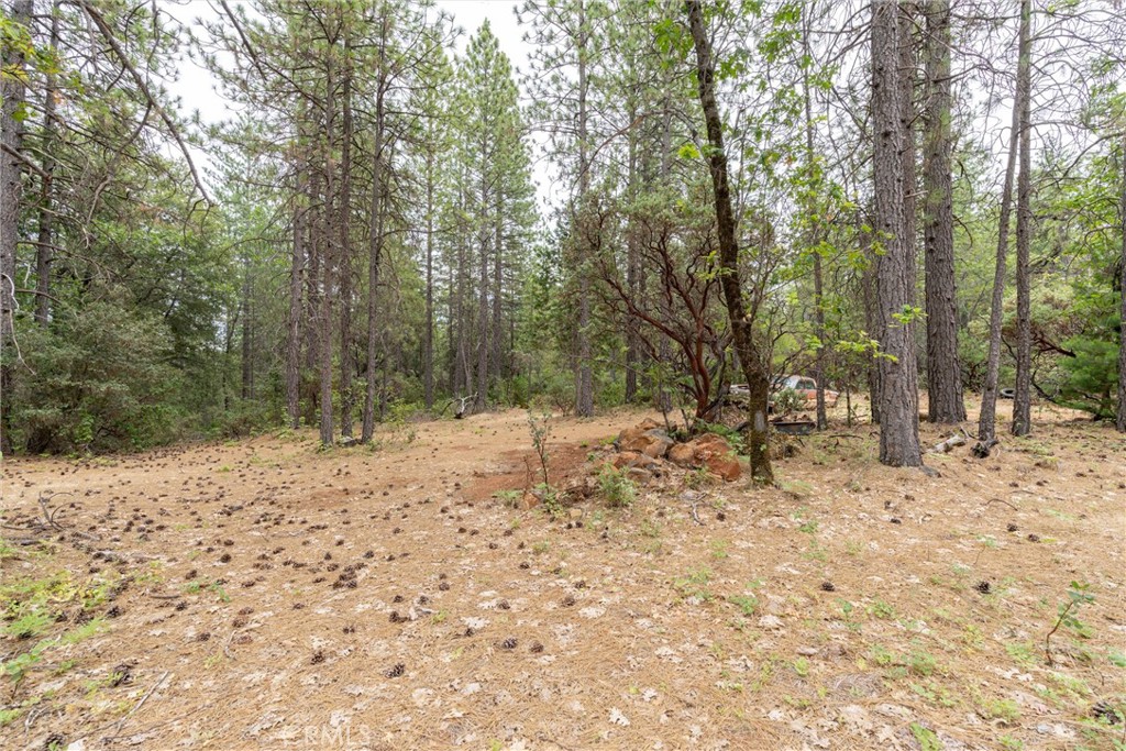 15184 Siwini Road Forest Ranch, CA 95942 - Photo 33 of 75