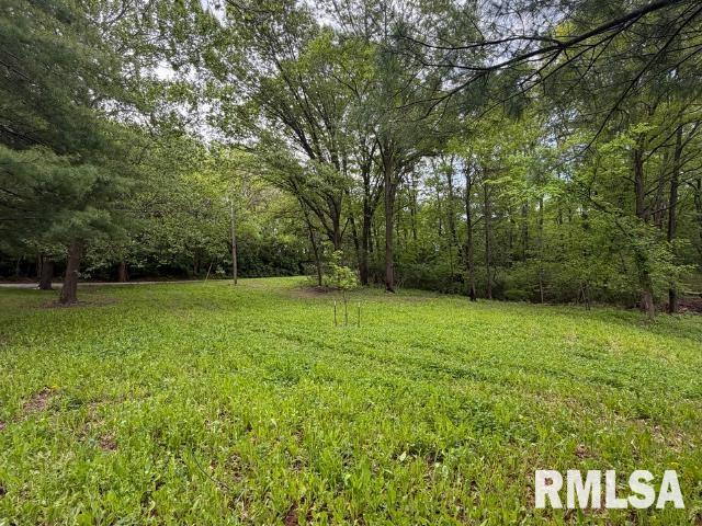 4231 Stone Road Springfield, IL 62707 - Photo 74 of 85