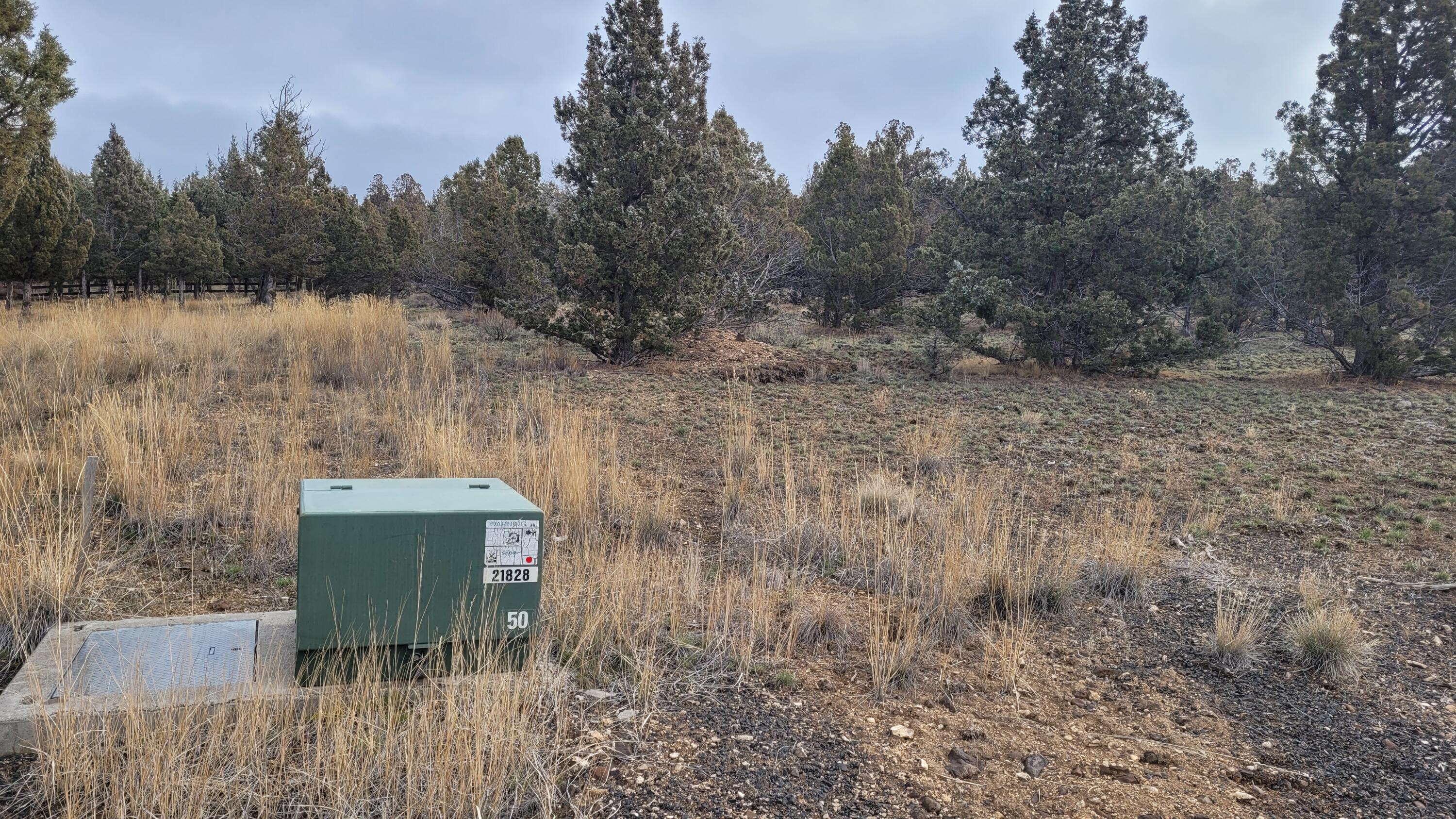 Southeast Ethan Loop, Unit 14 Prineville, OR 97754 - Photo 5 of 17 Electricity near the corner of the property