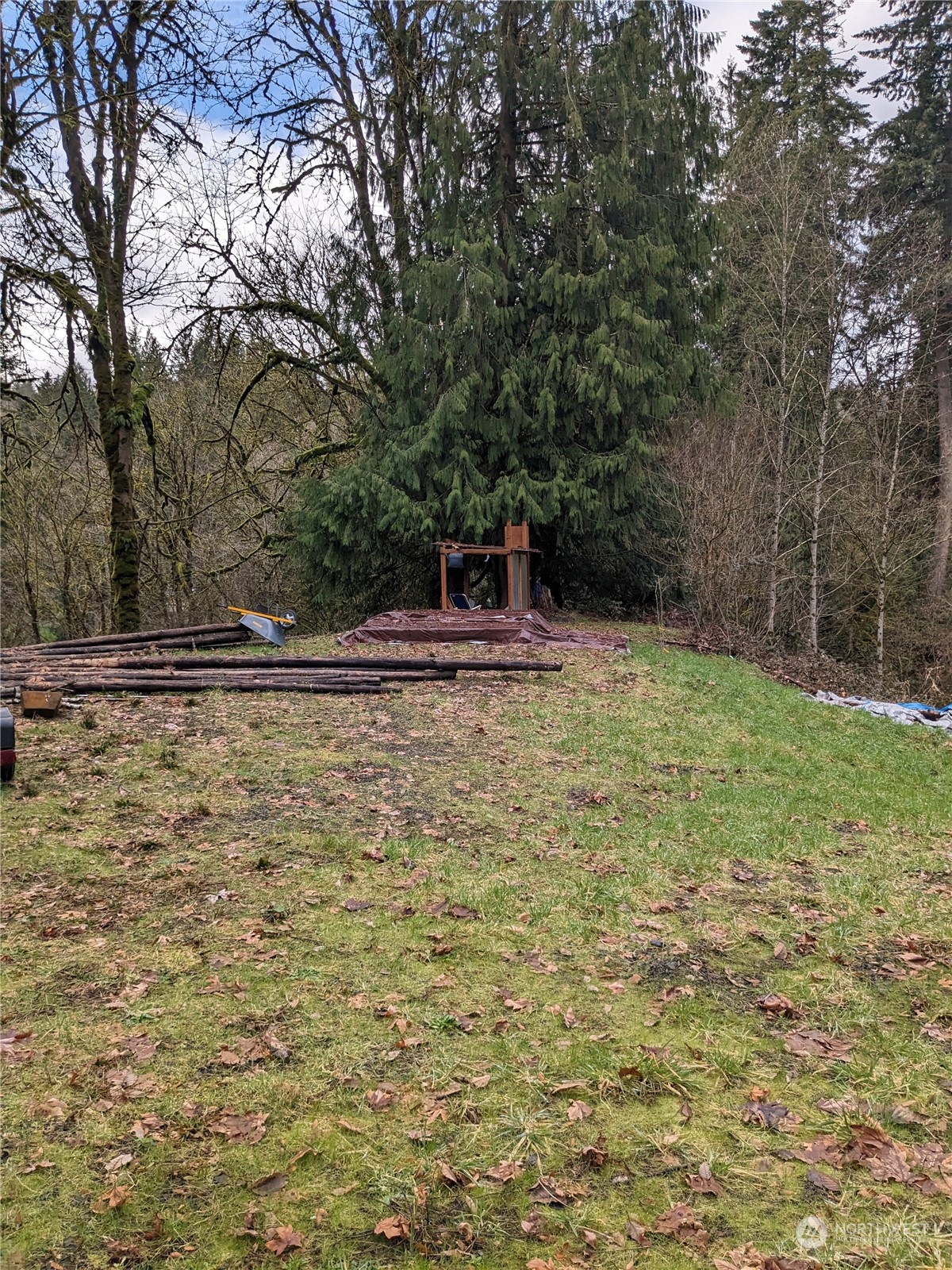 307 Clark Creek Road Longview, WA 98632 - Photo 7 of 10 Gallery Image 7