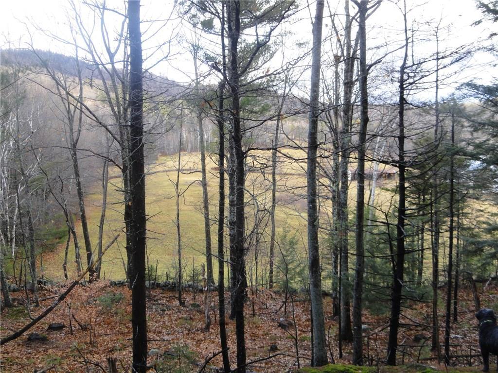 308 Upton Bros Road Greenwood, ME 04255 - Photo 15 of 30 From high point of woodlot through...