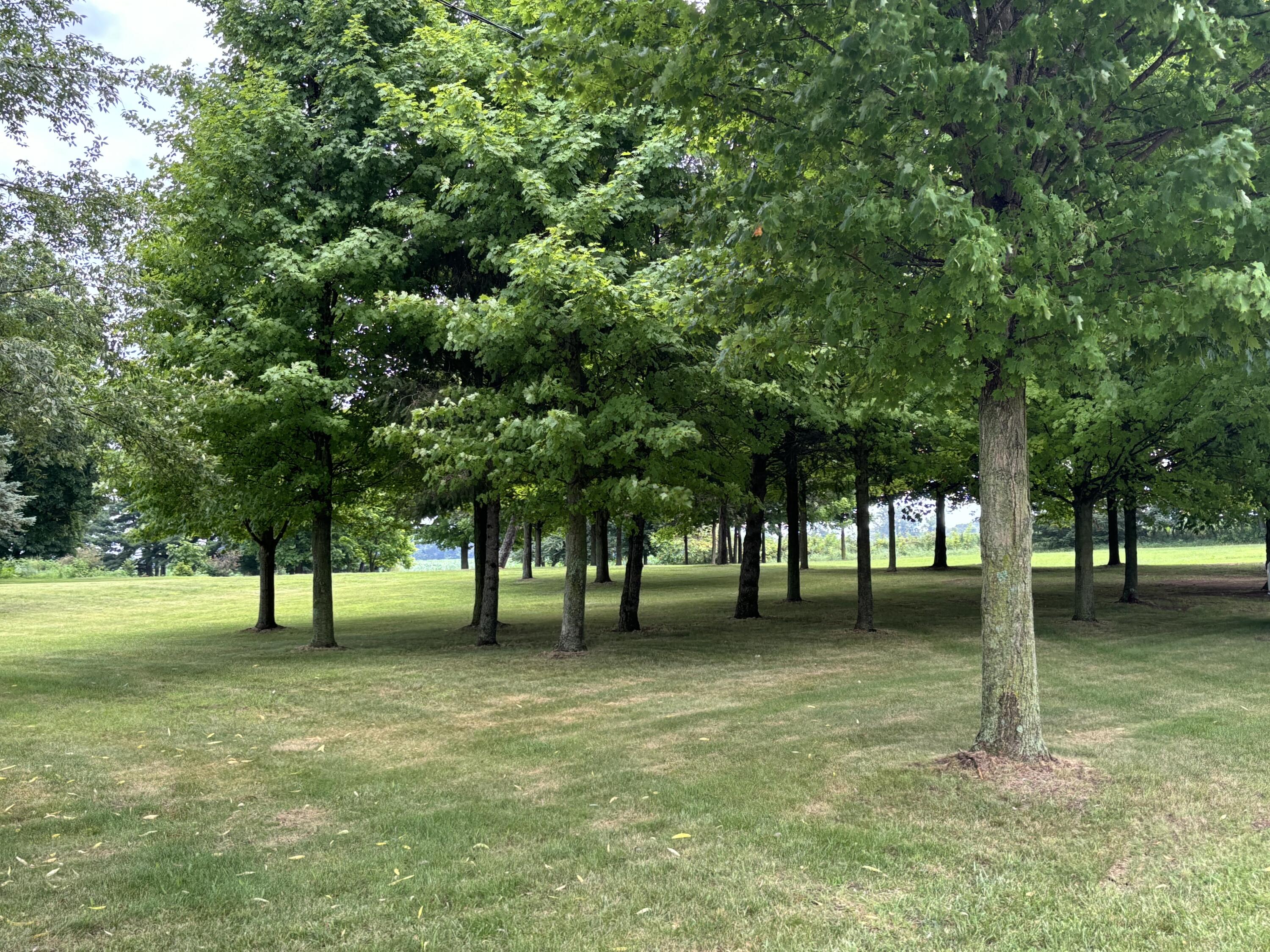 8861 Fay Lake Road Brooklyn, MI 49230 - Photo 2 of 4 IMG_9592