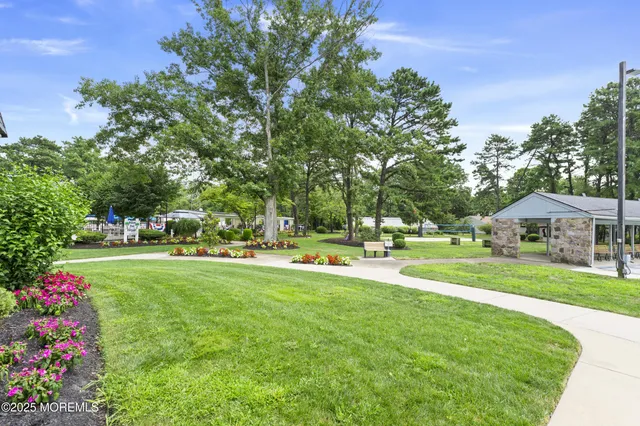 a view of a park with large trees and plants