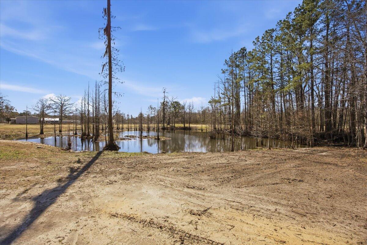 662 Country Pond Lane Cross, SC 29436 - Photo 35 of 42 37-662_031
