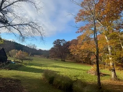 a view of a golf course with a lake