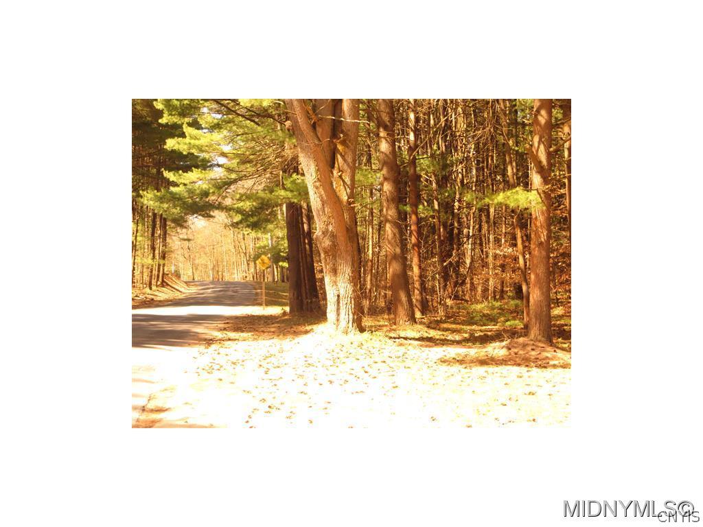 5 Dixon Road Blossvale, NY 13308 - Photo 1 of 1 Gallery Image 1
