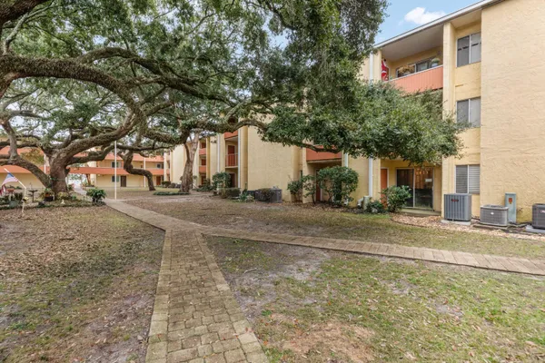 a backyard of a house with large trees and plants