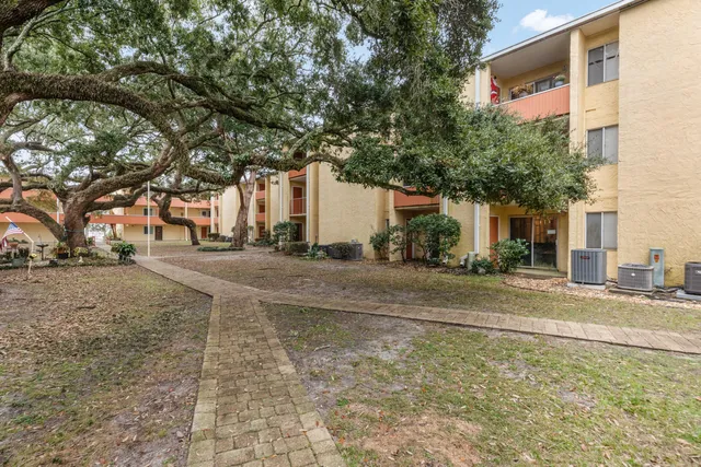 a backyard of a house with large trees and plants