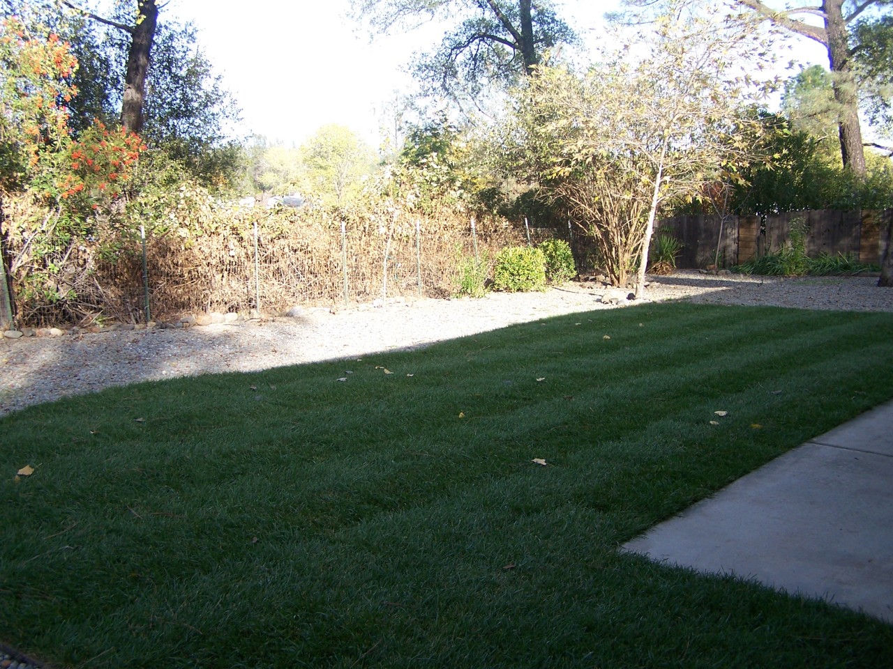 17824 Walker Mine Road Redding, CA 96003 - Photo 11 of 12 a view of yard with green space