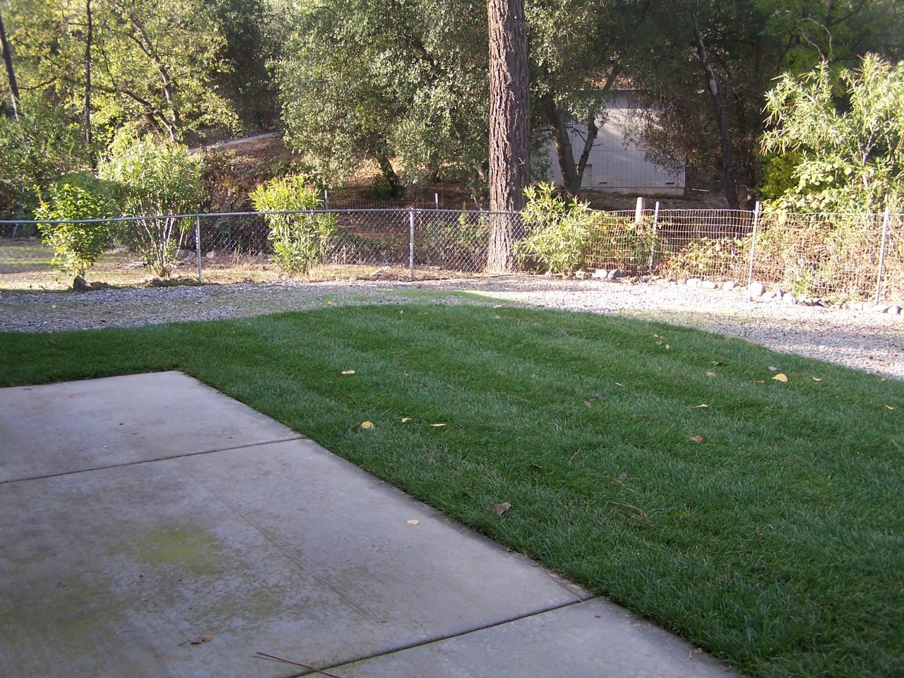 17824 Walker Mine Road Redding, CA 96003 - Photo 12 of 12 a view of house with backyard and garden