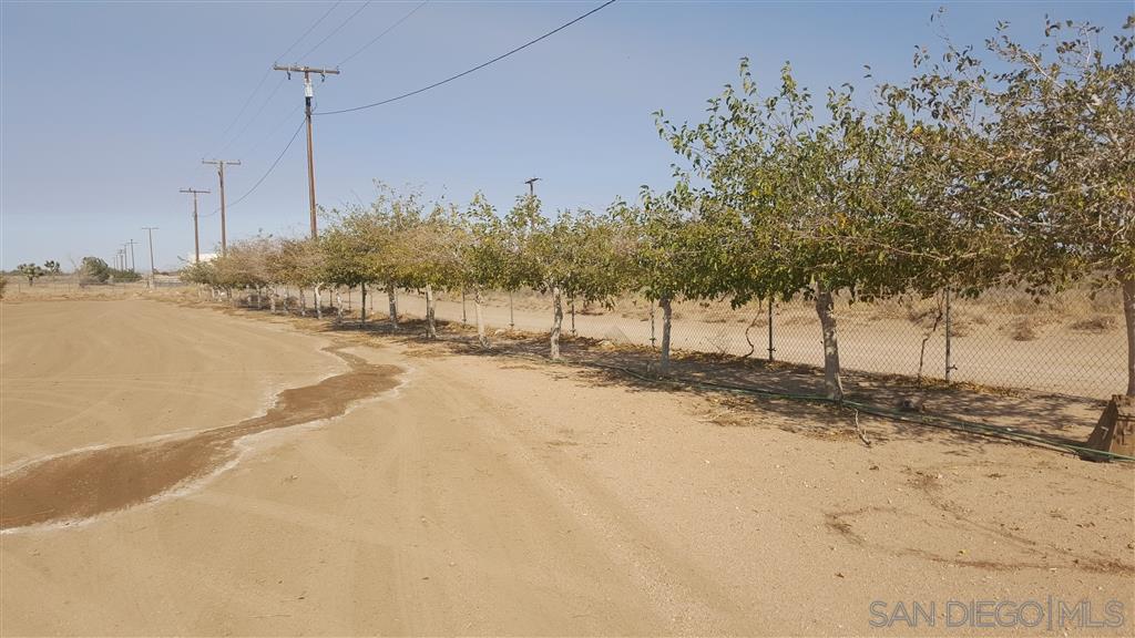 10376 White Road Phelan, CA 92371 - Photo 8 of 11 Gallery Image 8
