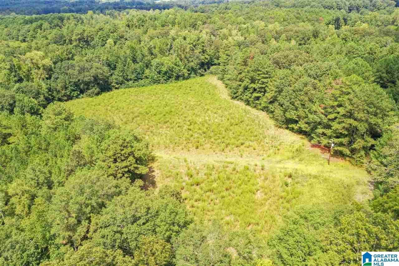 378 Old Mill Road Blountsville, AL 35031 - Photo 5 of 10
