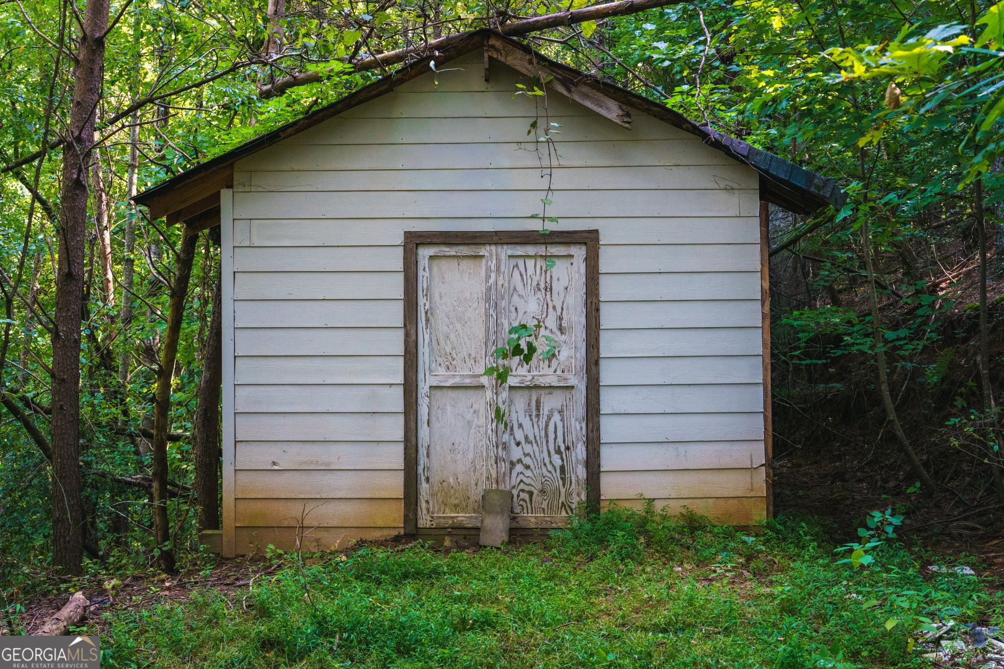 45 Green Cove Road Brasstown, NC 28902 - Photo 28 of 29 Gallery Image 28