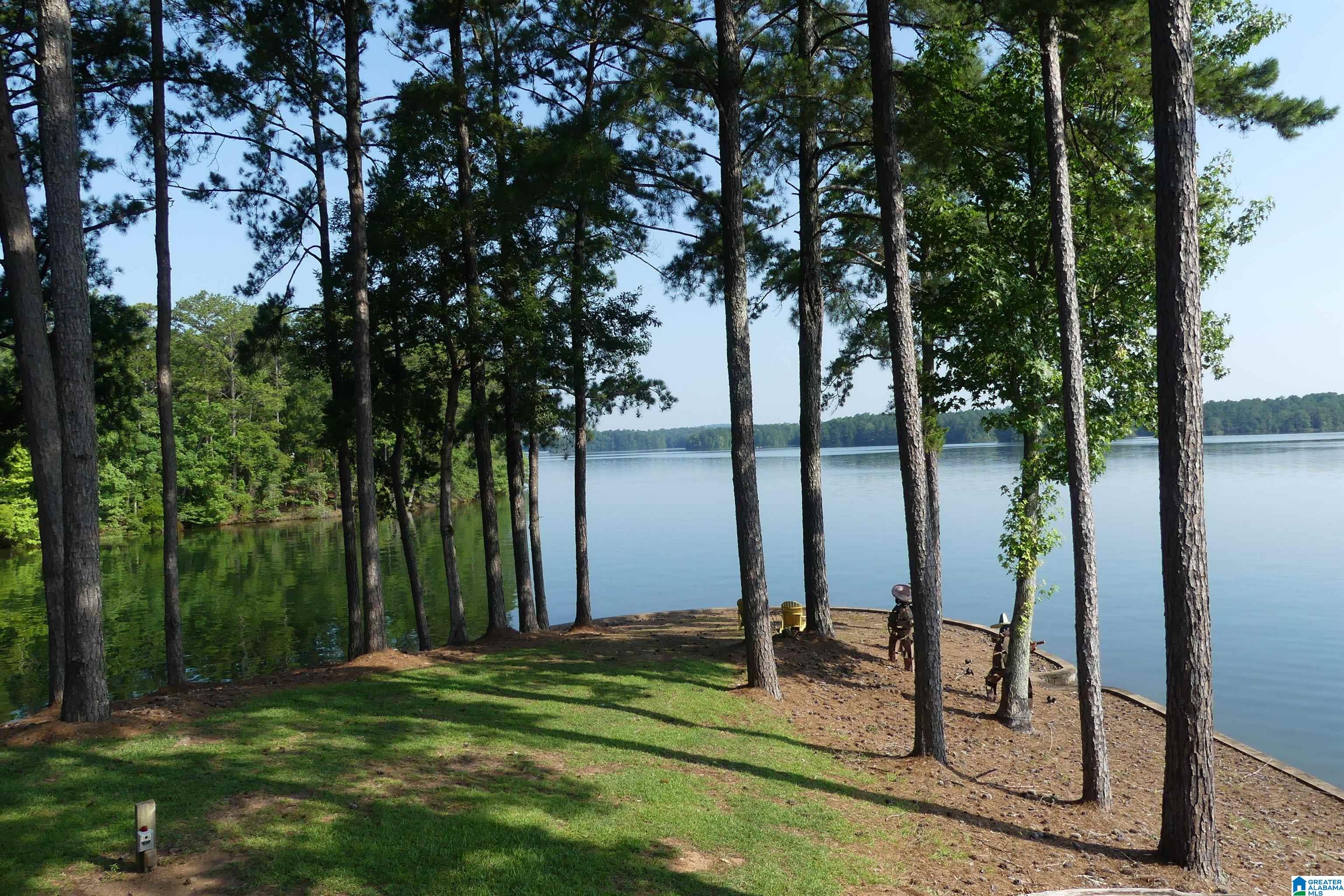 5338 County Road 804 Wedowee, AL 36278 - Photo 4 of 12