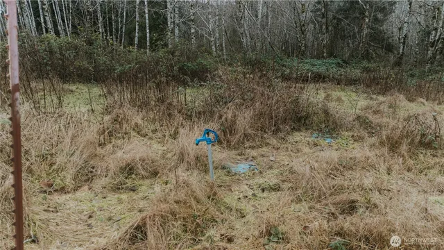 $159,000 | 215 Elk Creek Ridge Road, Forks, WA 98331