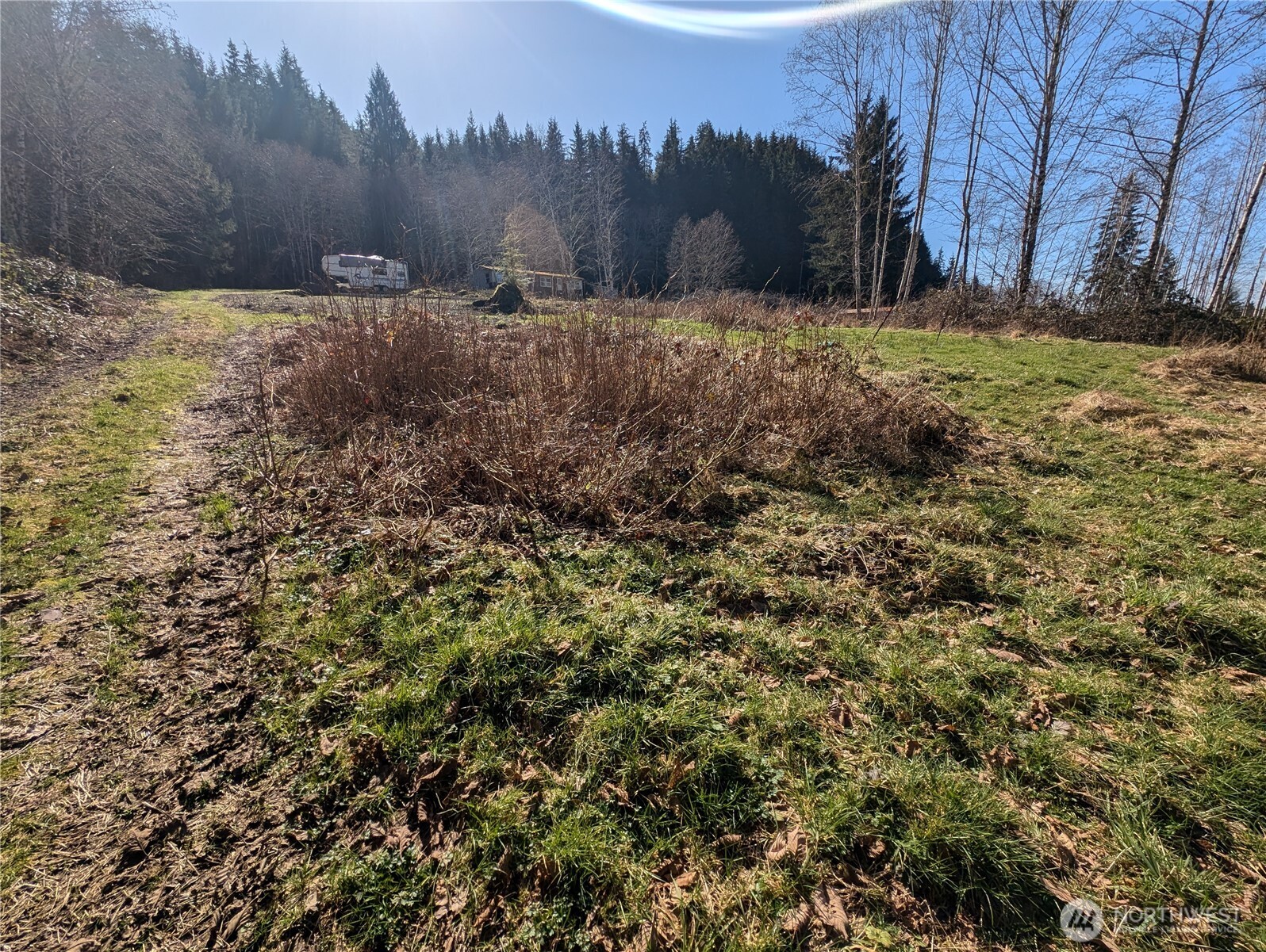 215 Elk Creek Ridge Road Forks, WA 98331 - Photo 12 of 33