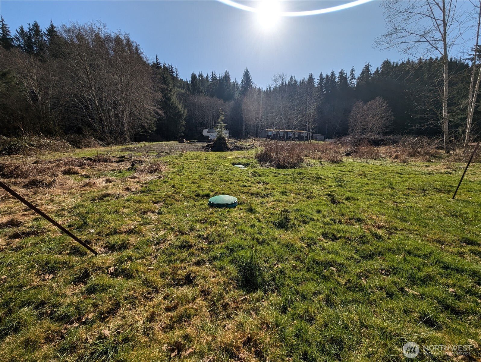 215 Elk Creek Ridge Road Forks, WA 98331 - Photo 13 of 37 a view of outdoor space with mountain view