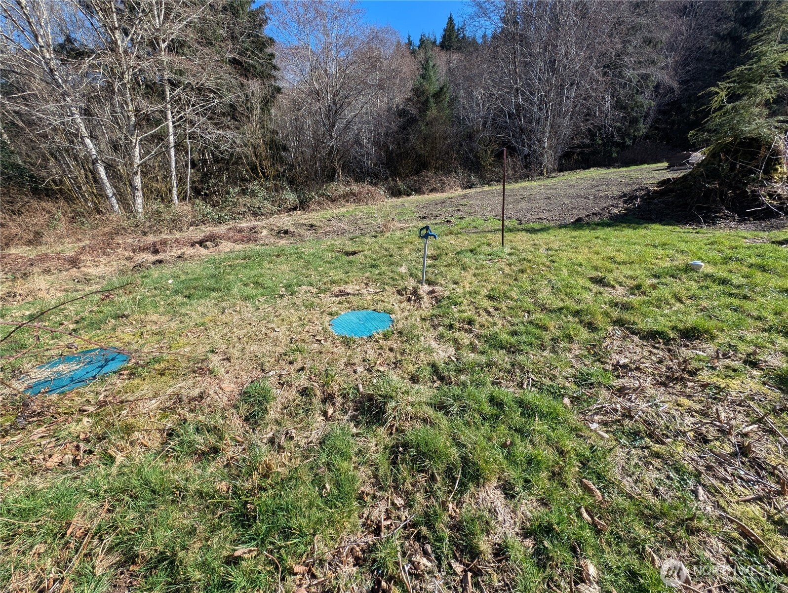 215 Elk Creek Ridge Road Forks, WA 98331 - Photo 14 of 37 a backyard of a house with lots of green space