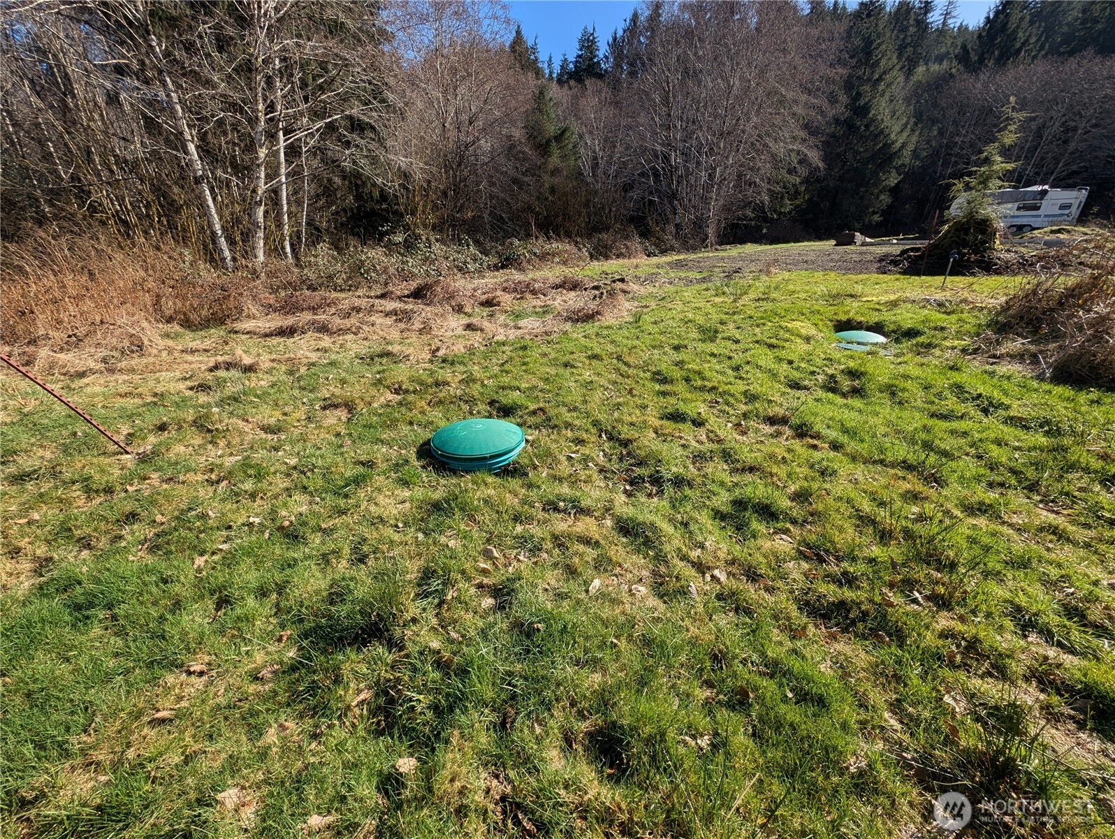 215 Elk Creek Ridge Road Forks, WA 98331 - Photo 14 of 37 a view of a yard with a tree