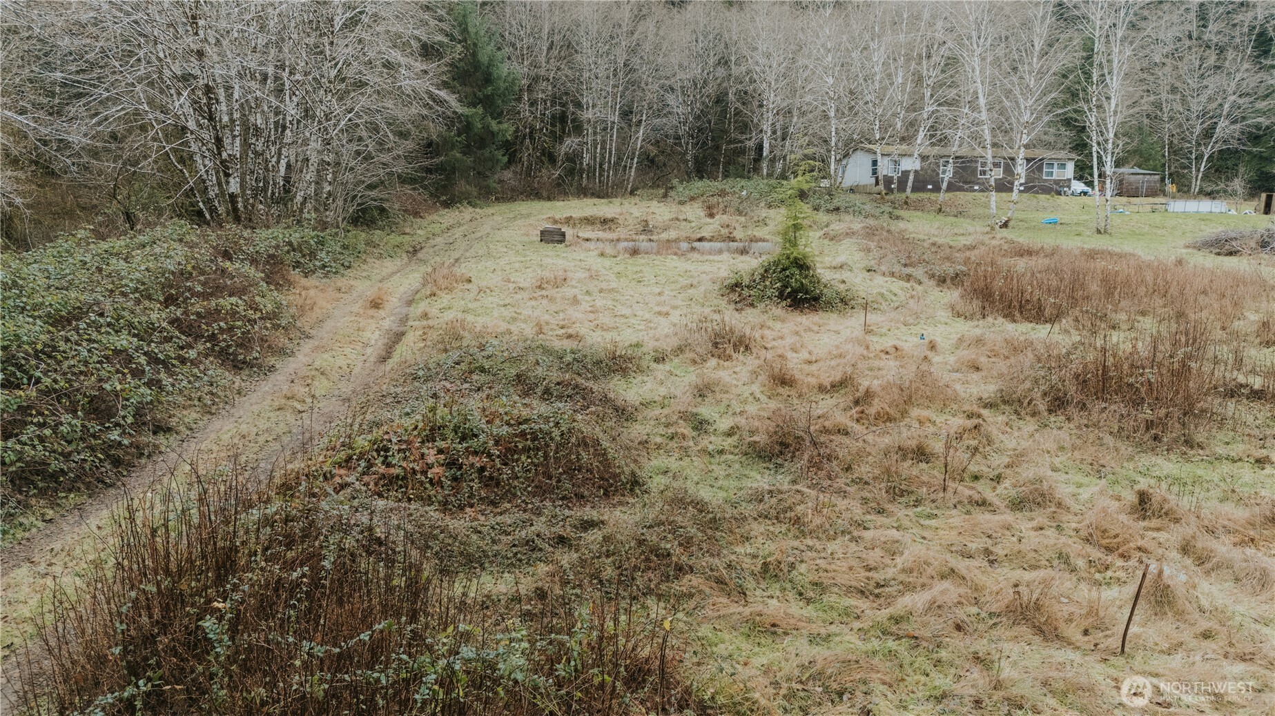 215 Elk Creek Ridge Road Forks, WA 98331 - Photo 16 of 37 a view of a yard with trees