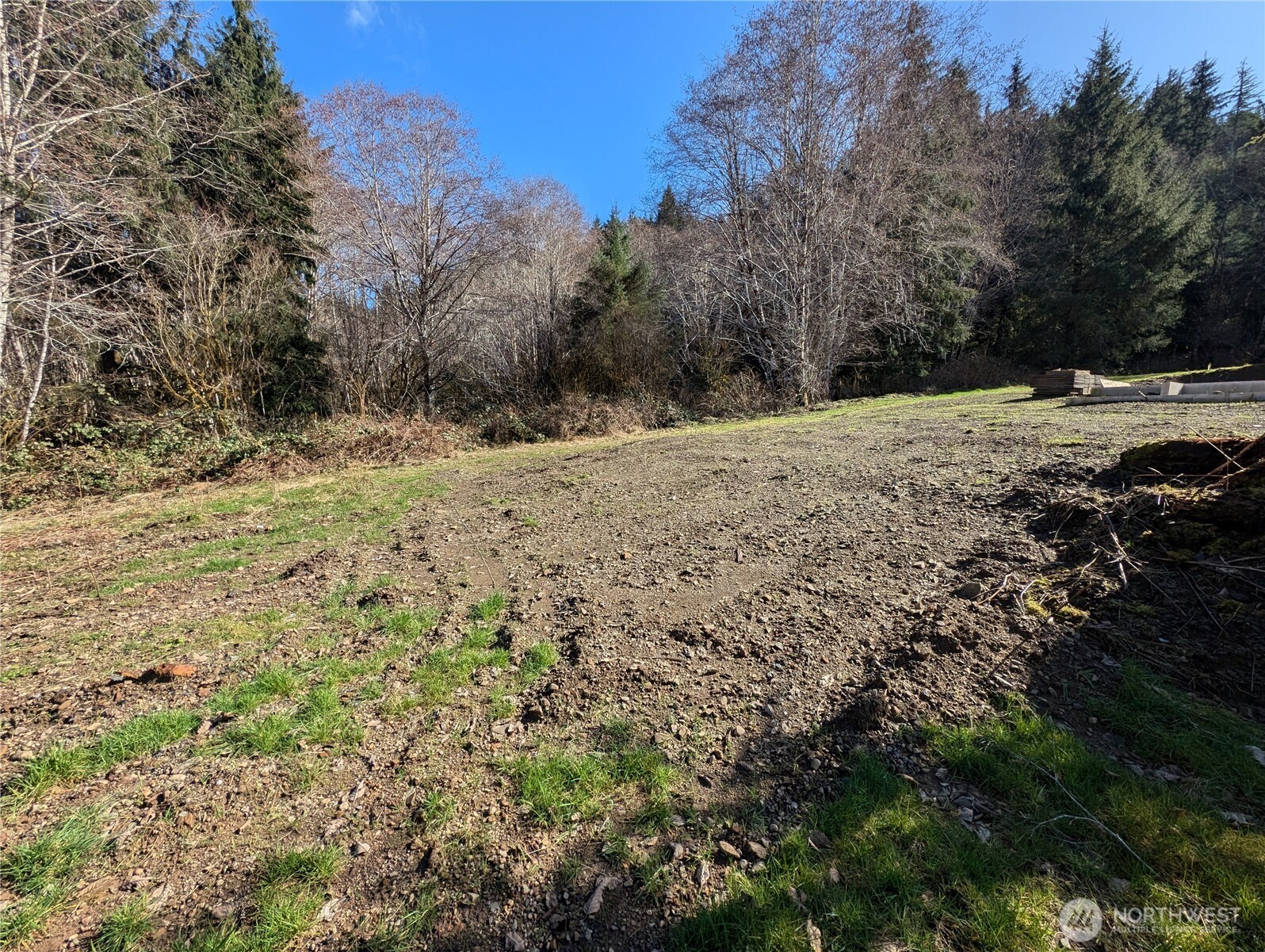 215 Elk Creek Ridge Road Forks, WA 98331 - Photo 16 of 33