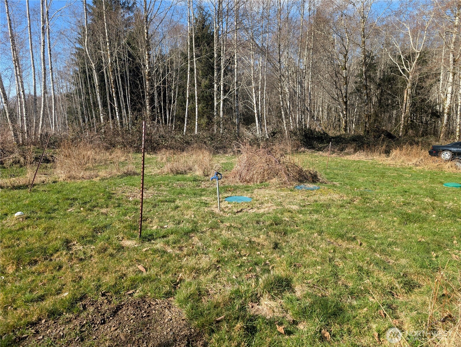215 Elk Creek Ridge Road Forks, WA 98331 - Photo 16 of 37 a backyard of a house with lots of green space
