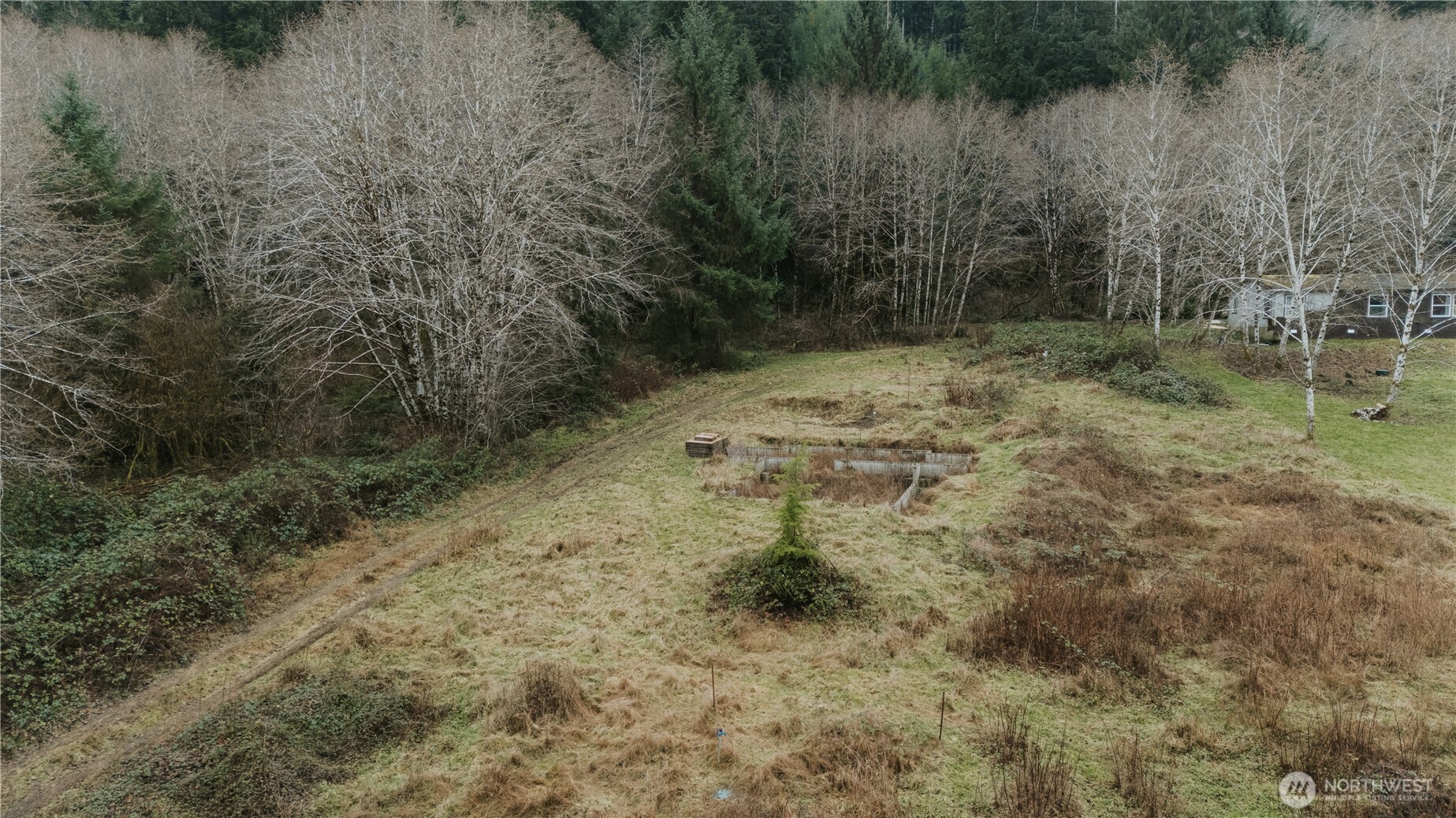 215 Elk Creek Ridge Road Forks, WA 98331 - Photo 19 of 37 a view of a yard with a tree