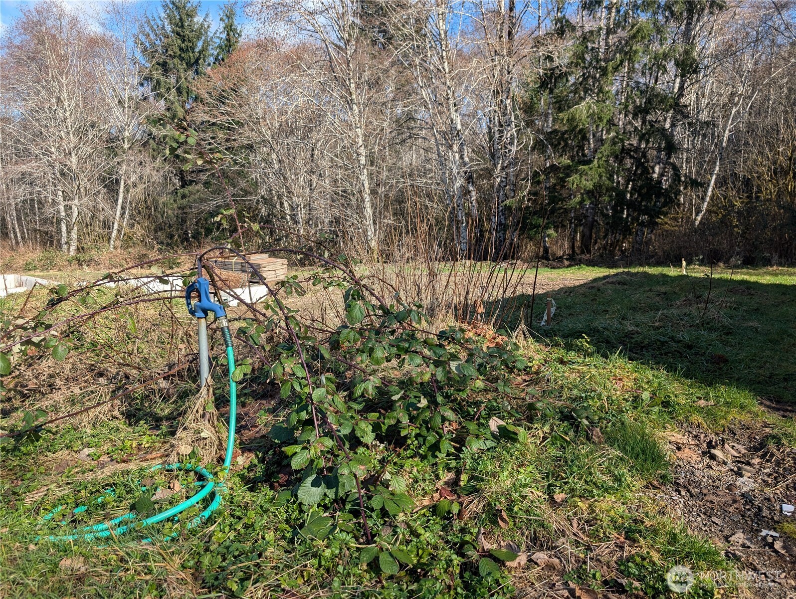 215 Elk Creek Ridge Road Forks, WA 98331 - Photo 22 of 33