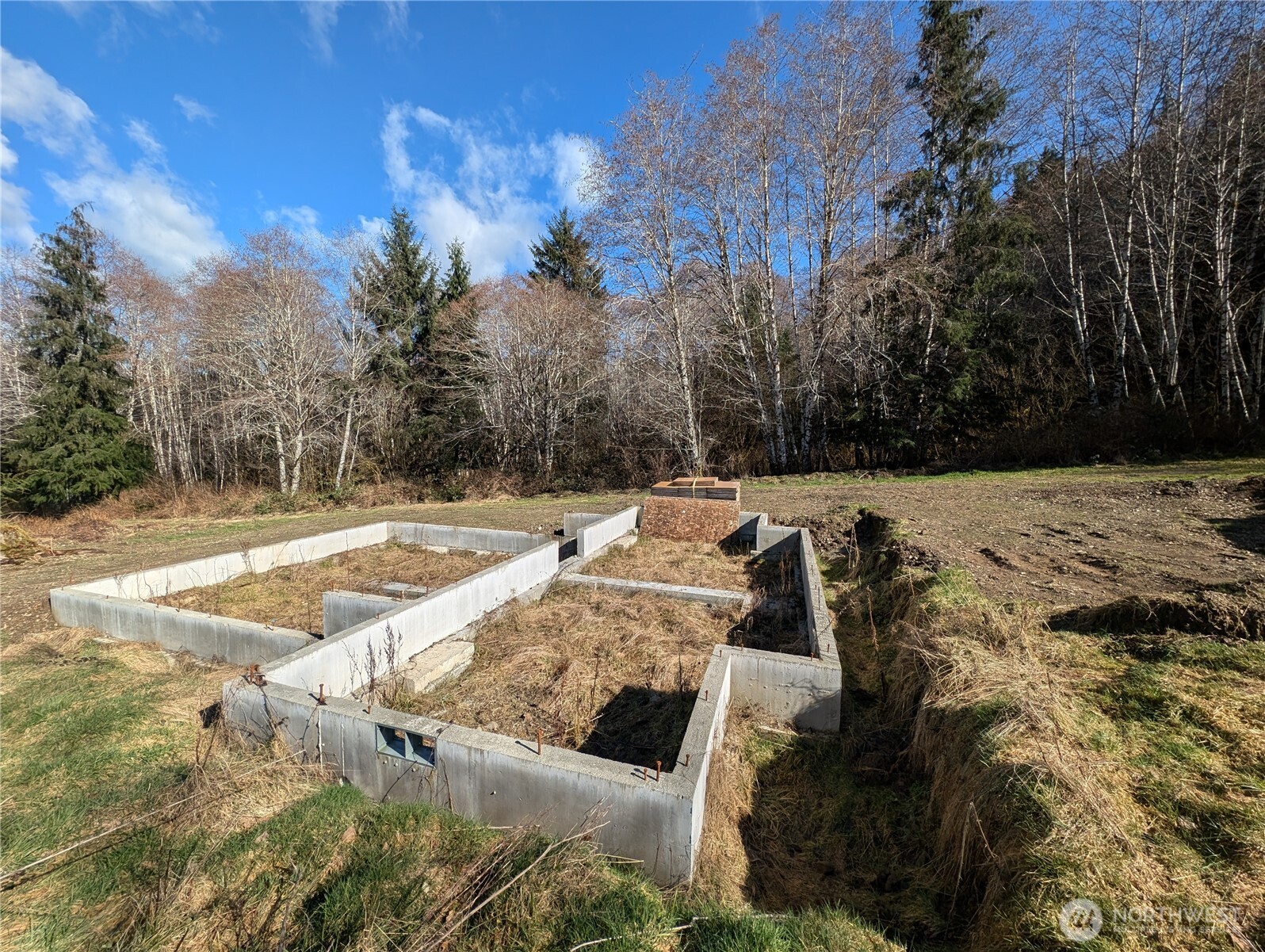 215 Elk Creek Ridge Road Forks, WA 98331 - Photo 25 of 37 a view of yard with swimming pool and trees
