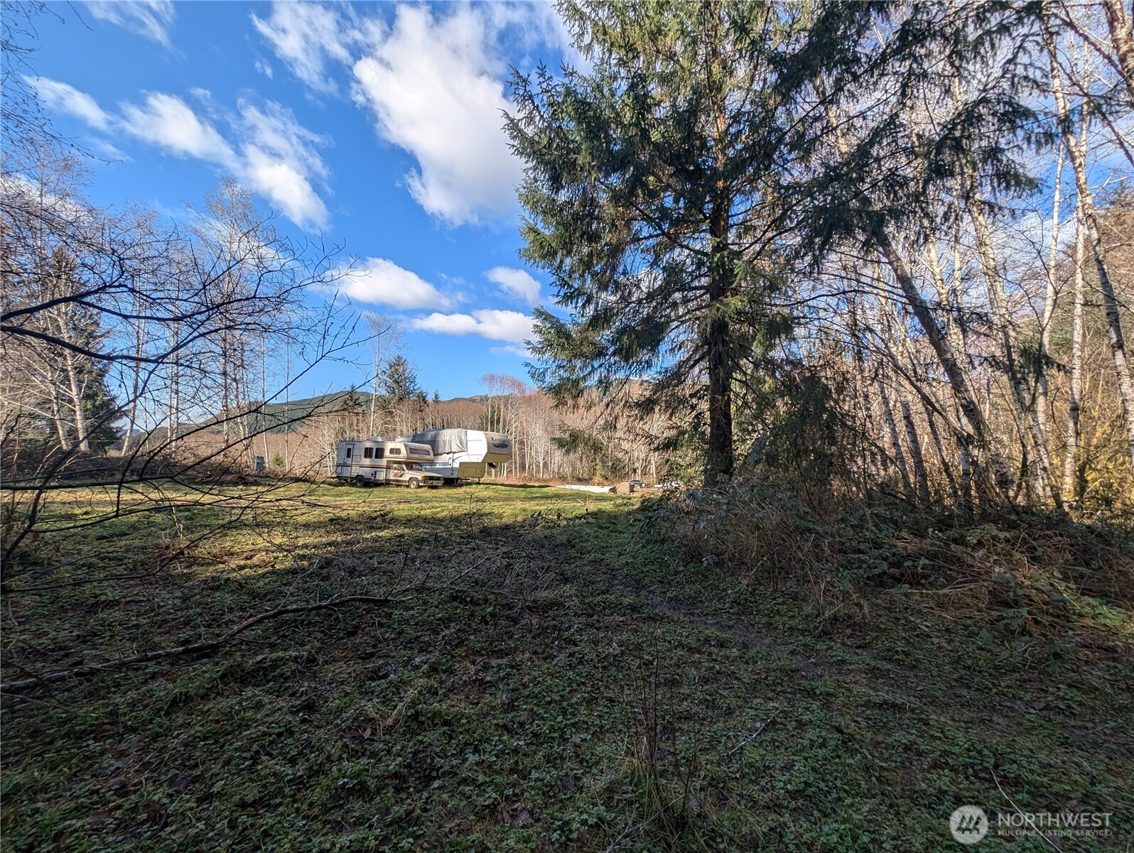 215 Elk Creek Ridge Road Forks, WA 98331 - Photo 26 of 33