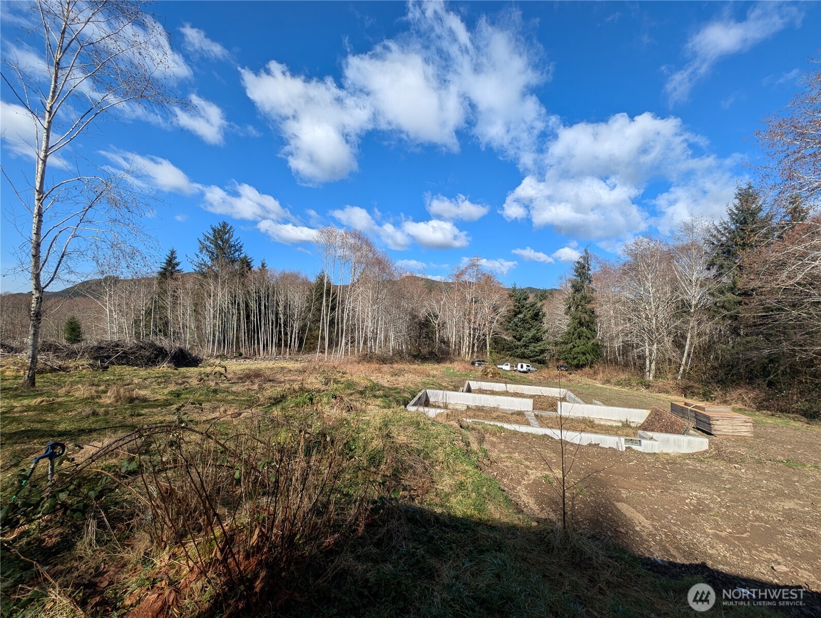 215 Elk Creek Ridge Road Forks, WA 98331 - Photo 27 of 37 a view of a backyard with large trees