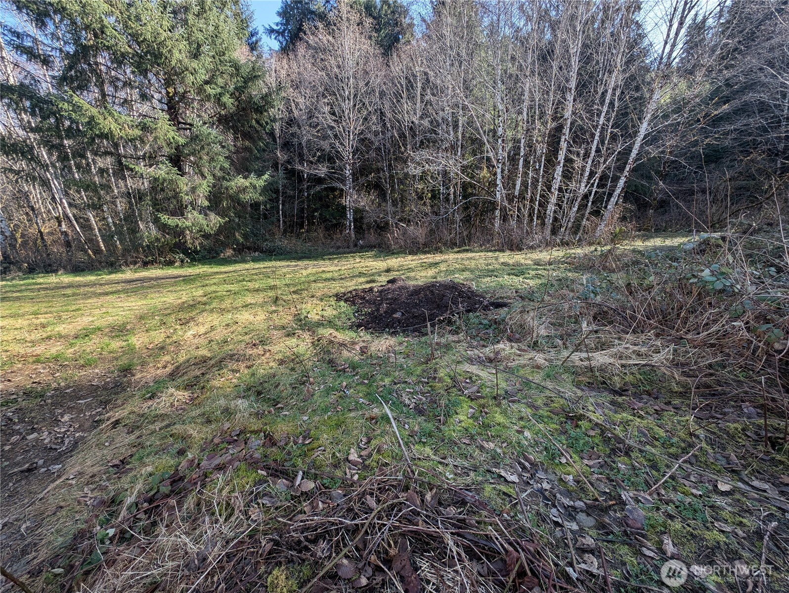 215 Elk Creek Ridge Road Forks, WA 98331 - Photo 27 of 33