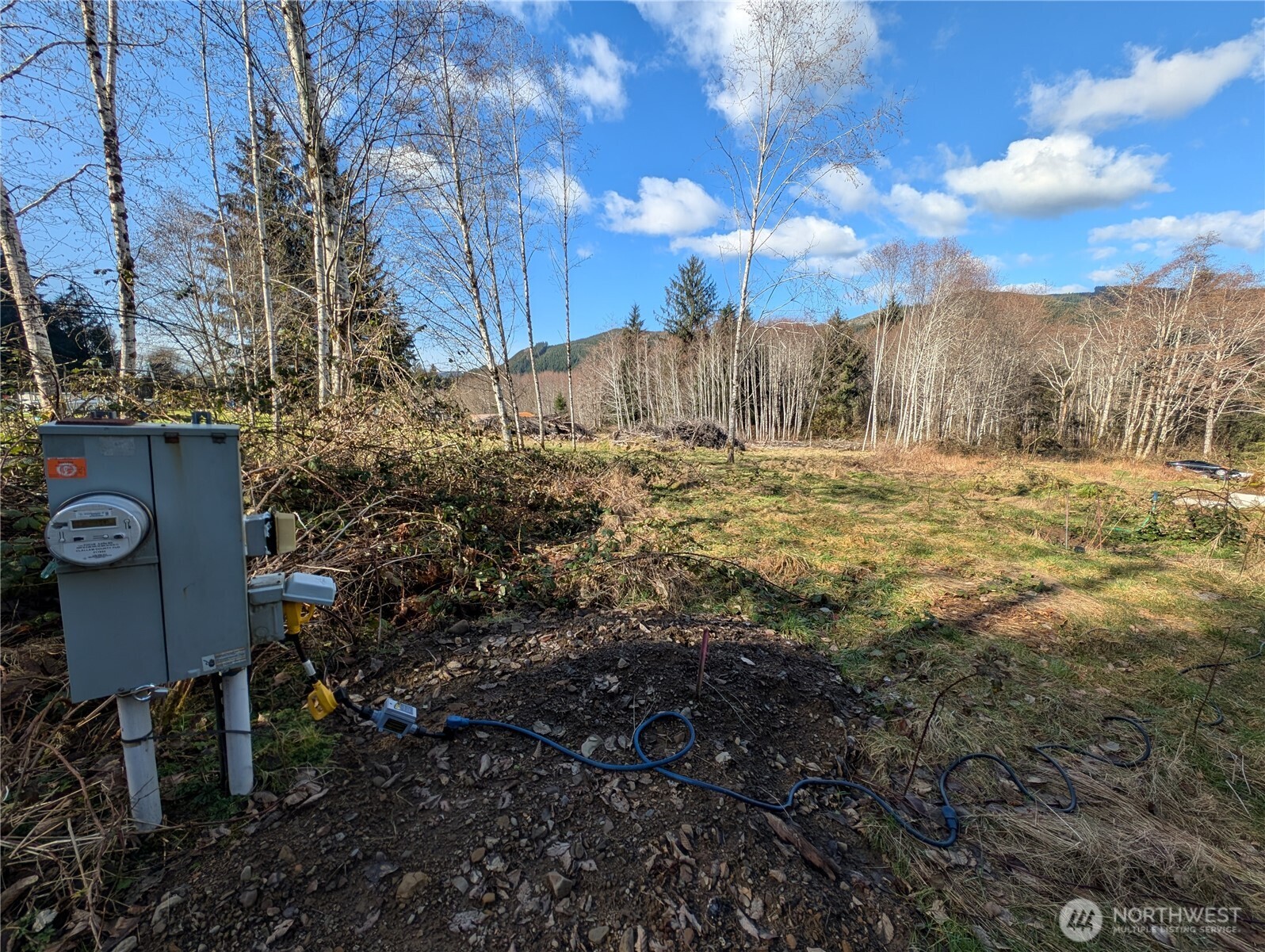 215 Elk Creek Ridge Road Forks, WA 98331 - Photo 28 of 37 a view of a yard