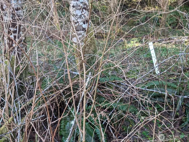 $159,000 | 215 Elk Creek Ridge Road, Forks, WA 98331