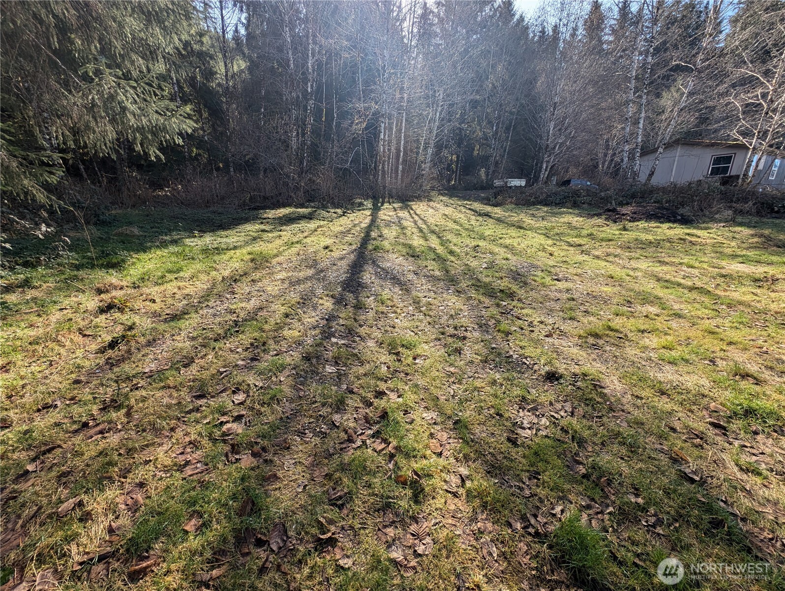 215 Elk Creek Ridge Road Forks, WA 98331 - Photo 32 of 37 a view of yard