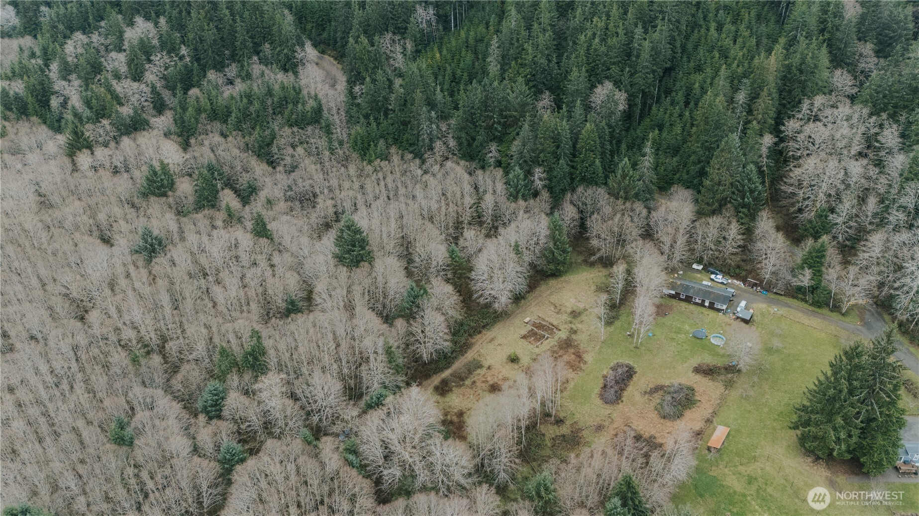215 Elk Creek Ridge Road Forks, WA 98331 - Photo 36 of 37 a view of a forest with a house