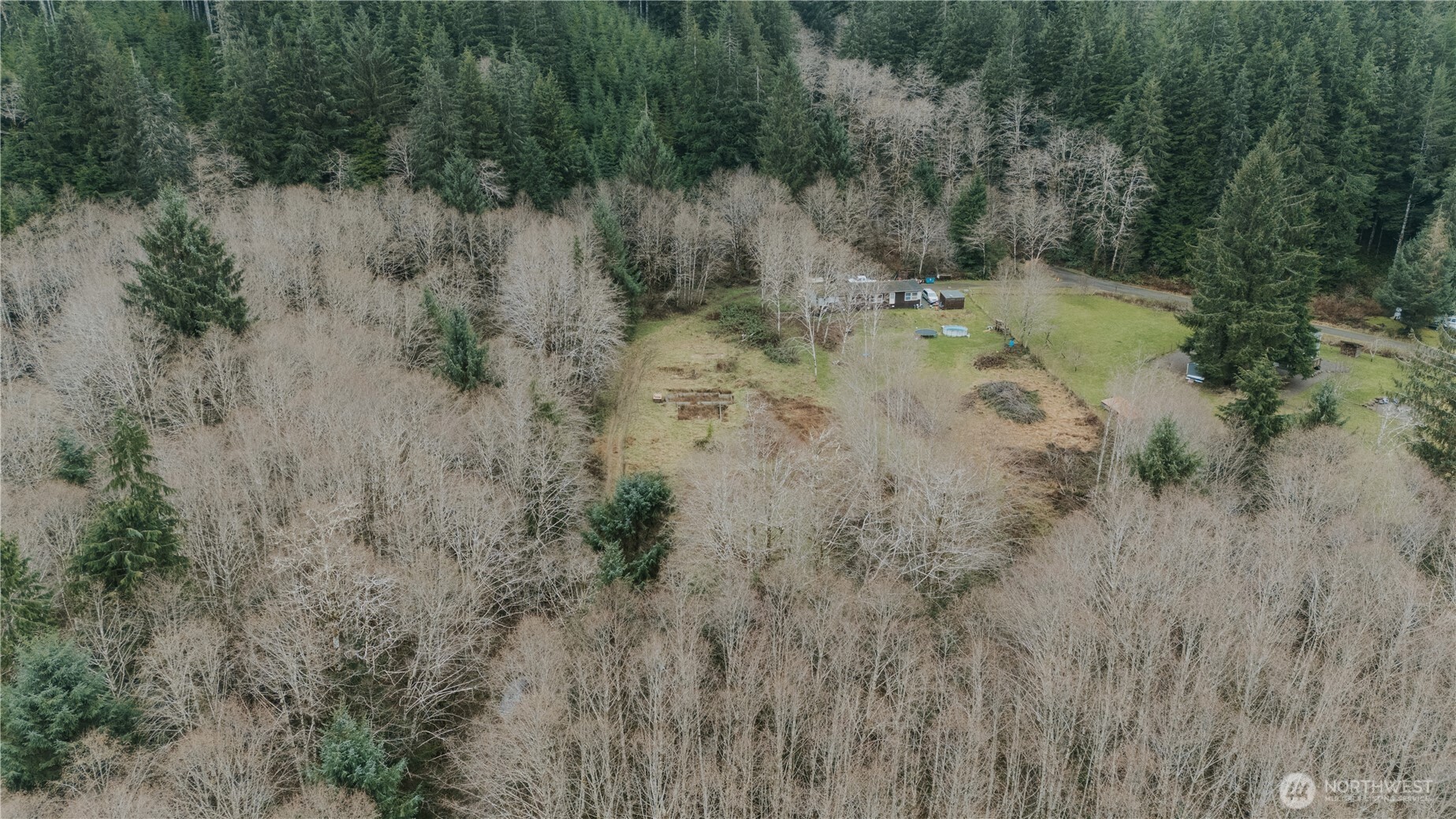215 Elk Creek Ridge Road Forks, WA 98331 - Photo 6 of 37 a view of a forest with a tree