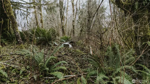 $159,000 | 215 Elk Creek Ridge Road, Forks, WA 98331