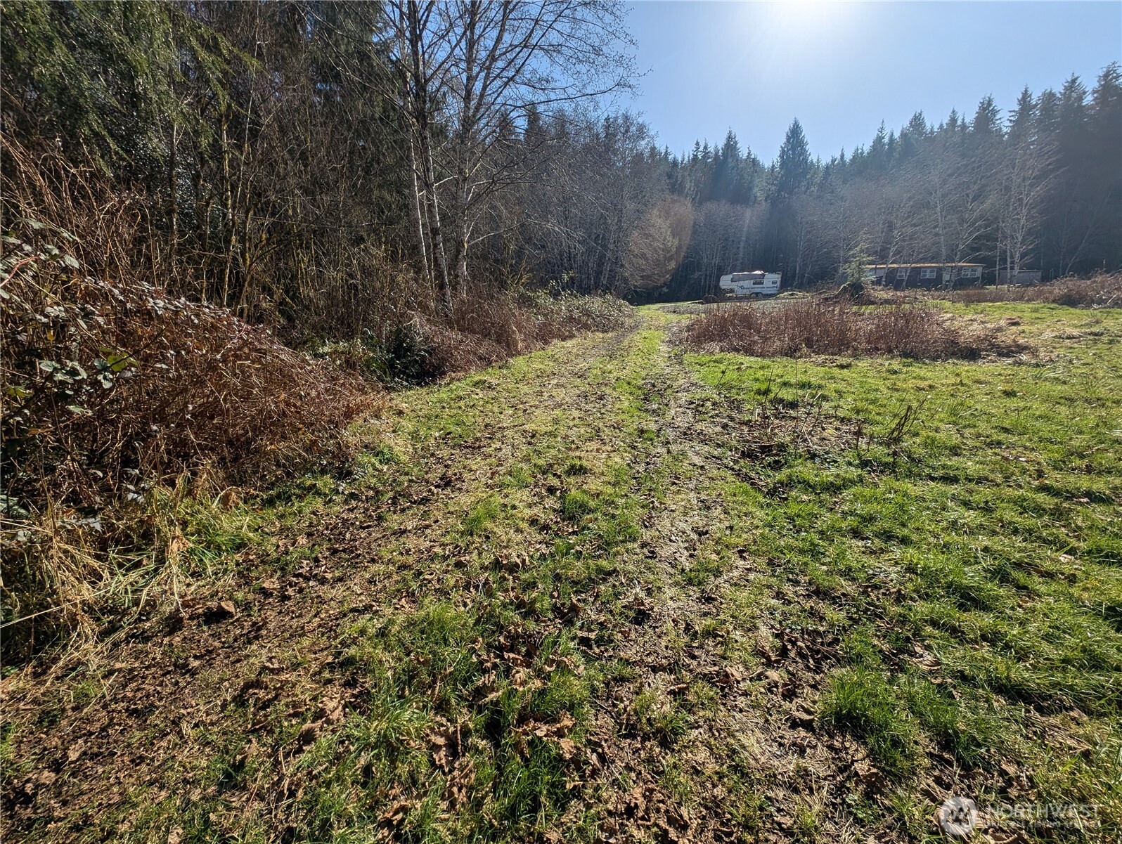 215 Elk Creek Ridge Road Forks, WA 98331 - Photo 9 of 37 a view of mountain view with trees