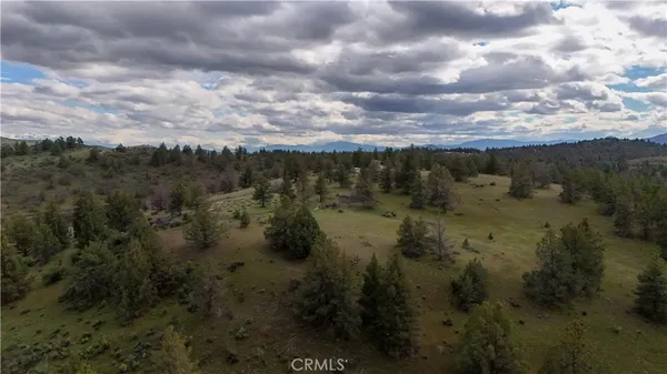 a view of a covered with green field