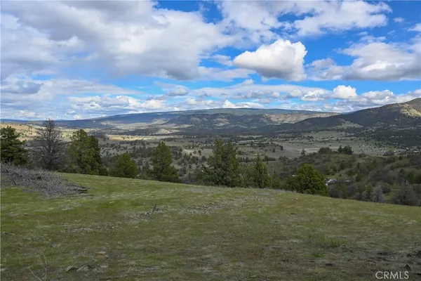 a view of a big yard with lots of green space