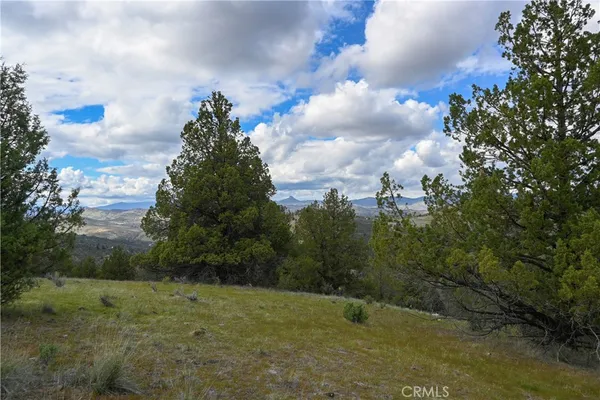 a big yard with lots of green space and fog